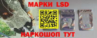 стаф Донецк