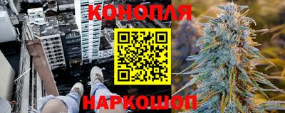 стаф Донецк
