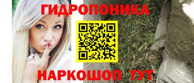 стаф Донецк