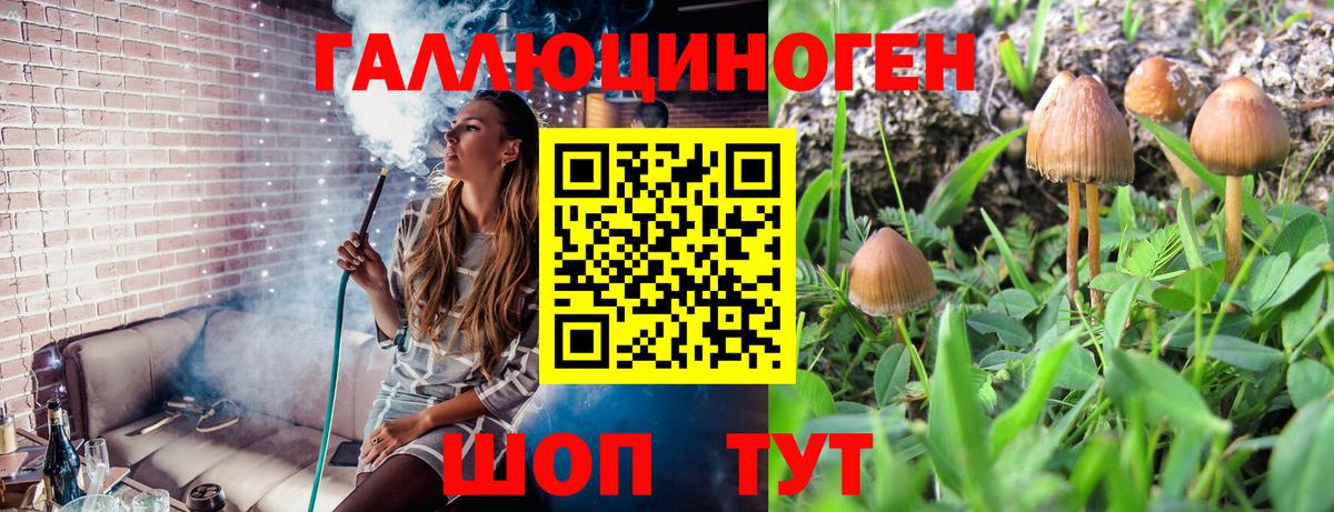 Псилоцибиновые грибы MAGIC MUSHROOMS Североуральск