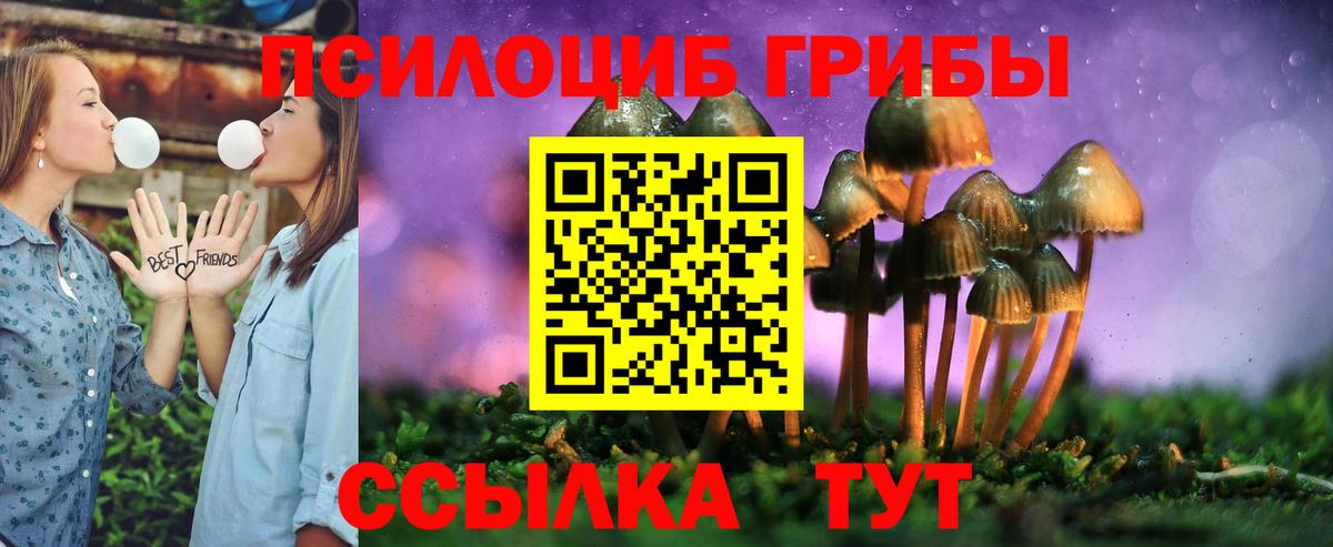 Галлюциногенные грибы Psilocybe  Вход с VPN  Североуральск 