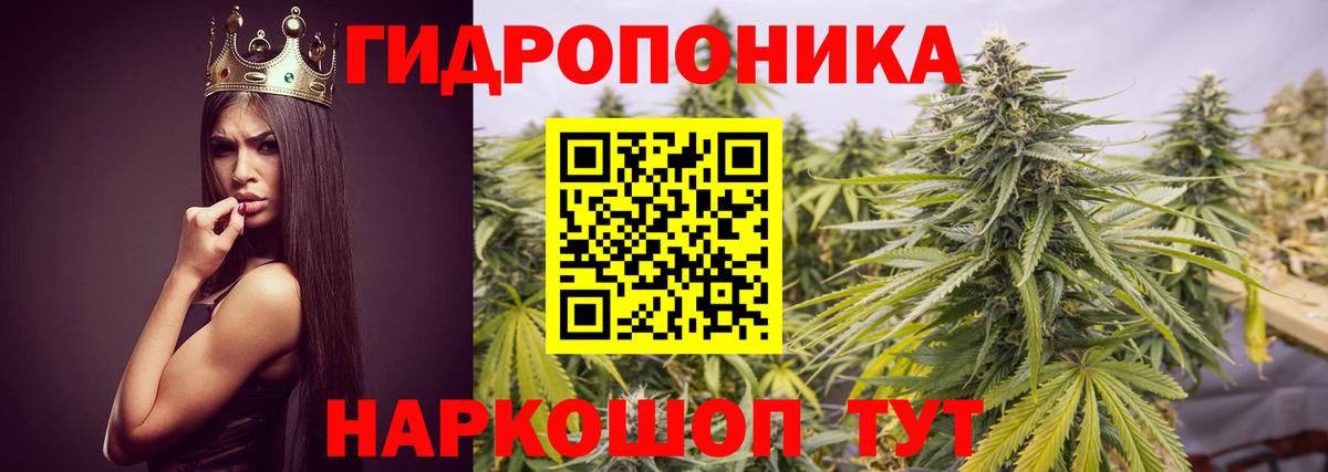 Бошки Шишки THC 21% Североуральск